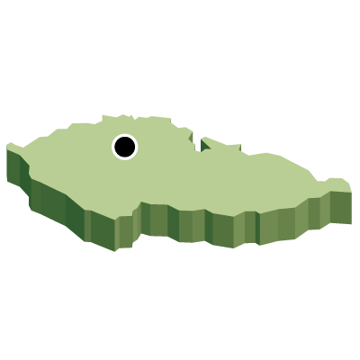 チェコ共和国無料フリーイラスト｜首都・立体(緑)